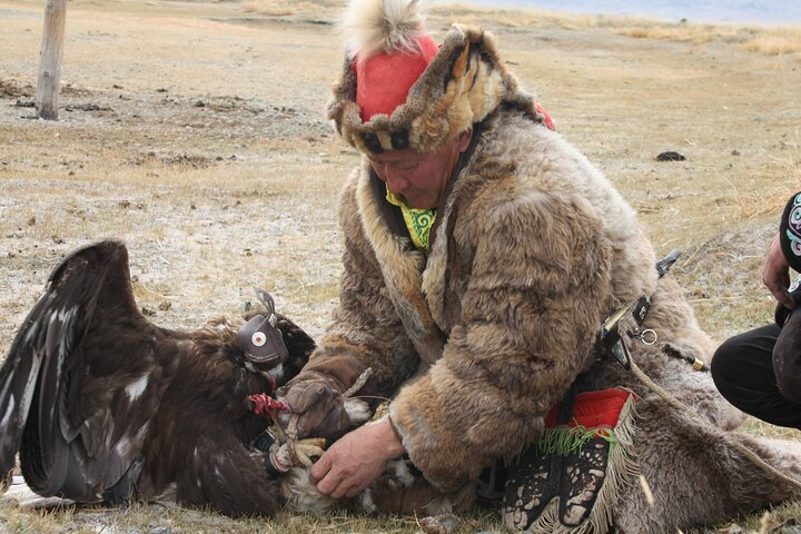 Golden Eagle Festival in Western Mongolia