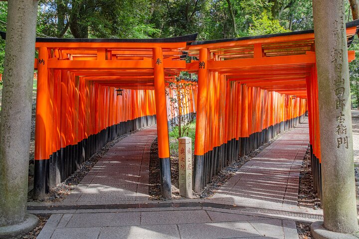 Osaka/Kyoto: Arashiyama, Fushimi Inari & Nara Park Day Trip