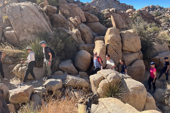 Joshua Tree National Park Sightseeing Adventure Tour