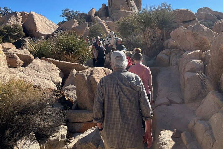 Joshua Tree National Park Sightseeing Adventure Tour