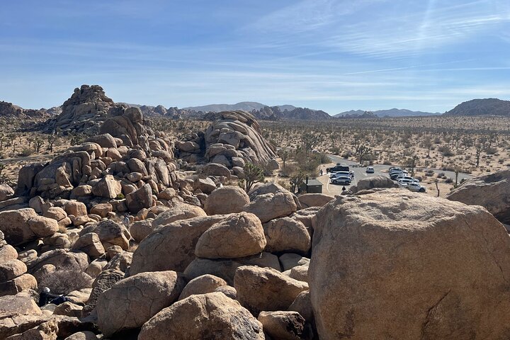 Joshua Tree National Park Sightseeing Adventure Tour