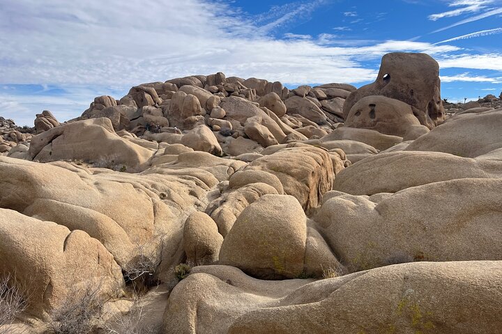 Joshua Tree National Park Sightseeing Adventure Tour