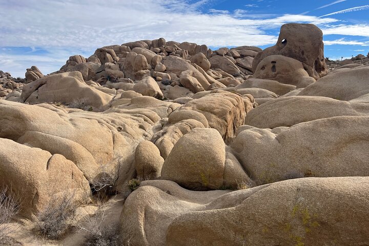 Private Sightseeing Adventure Tour of Joshua Tree National Park