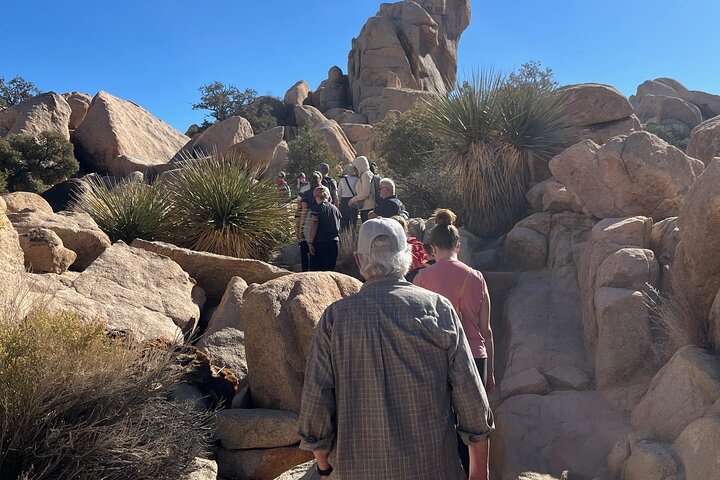 Private Sightseeing Adventure Tour of Joshua Tree National Park