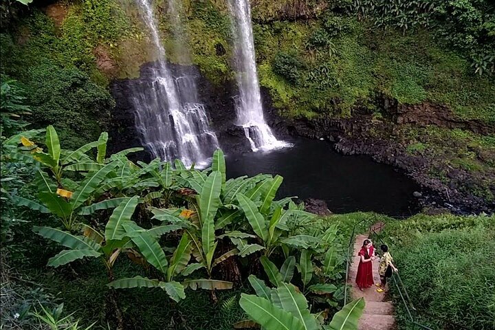 Tad Fane Private Zipline Thrills and Culinary Delights