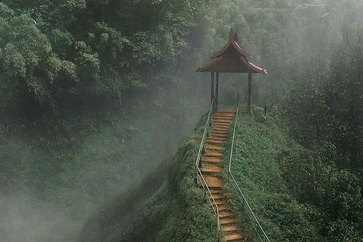 Tad Fane Private Zipline Thrills and Culinary Delights