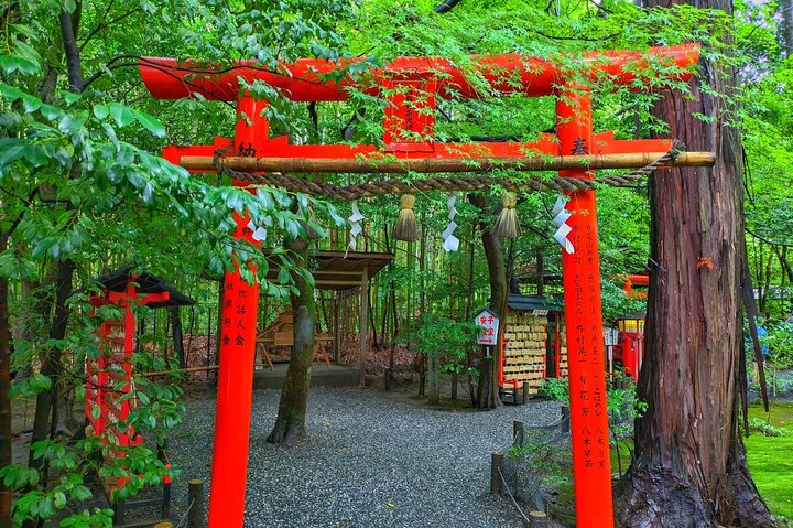 From Kyoto / Osaka: Kyoto Must-see Spots & Nara Park One Day Tour