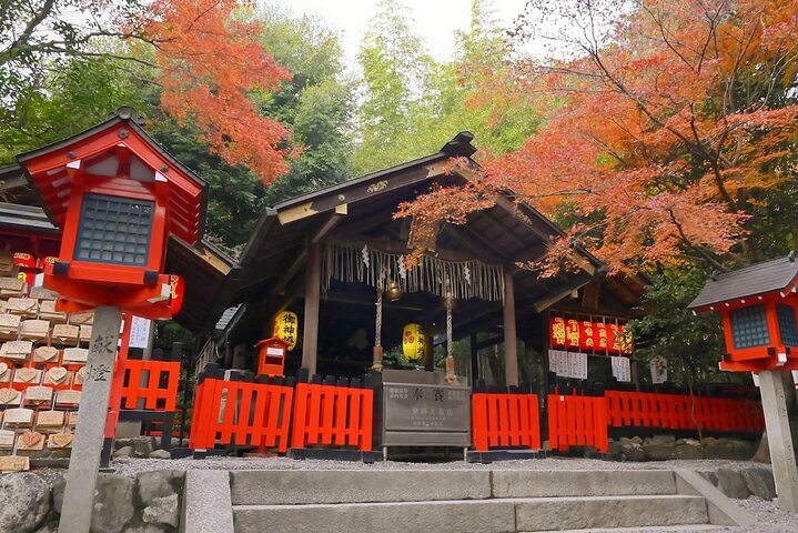 From Kyoto / Osaka: Kyoto Must-see Spots & Nara Park One Day Tour