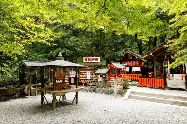 From Kyoto / Osaka: Kyoto Must-see Spots & Nara Park One Day Tour