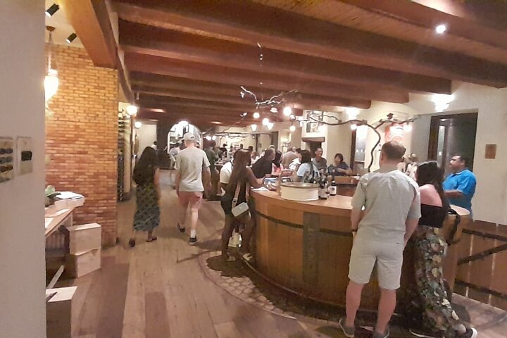 Stellenbosch, Franschhoek, Paarl 15 Wine Tasting Private Tour