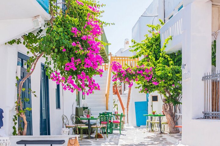 Mykonos Small Group Tour for Cruise Passengers — Port Pickup