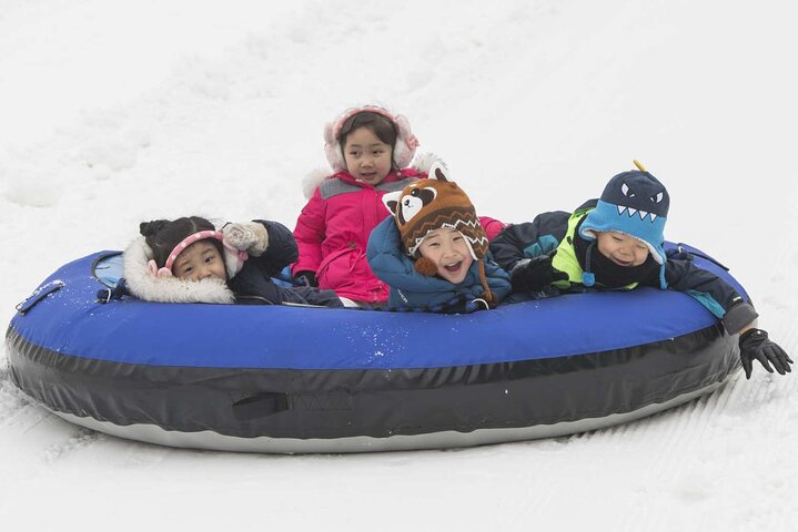 Everland Theme Park Ticket | South Korea