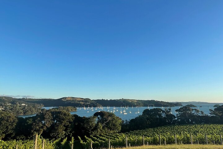Waiheke Island Half Day Scenic Wine and Lunch