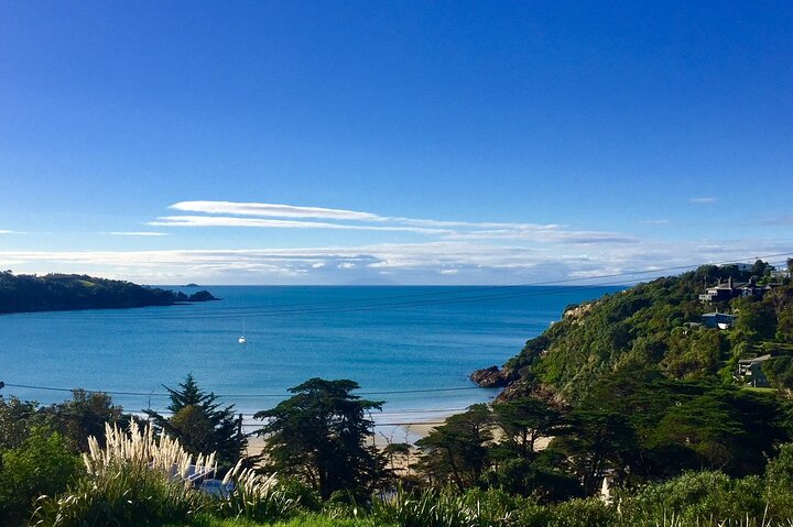 Waiheke Island Half Day Scenic Wine and Lunch