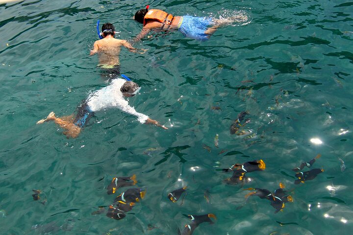 Isla de la Plata: Wildlife Trails & Snorkeling at Machalilla Park