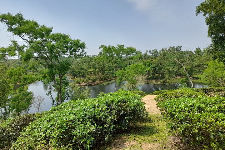 Private Luxury Escape: 2 Day Tea Gardens & Scenic Landscapes
