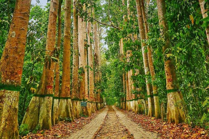 Private Luxury Escape: 2 Day Tea Gardens & Scenic Landscapes