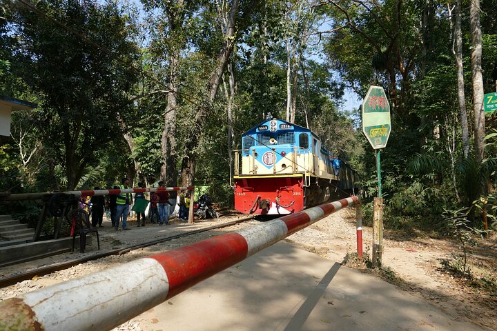 Private Luxury Escape: 2 Day Tea Gardens & Scenic Landscapes