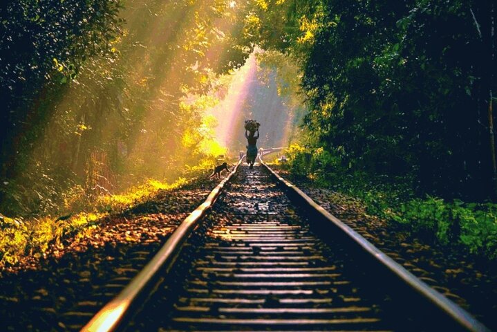 Private Luxury Escape: 2 Day Tea Gardens & Scenic Landscapes