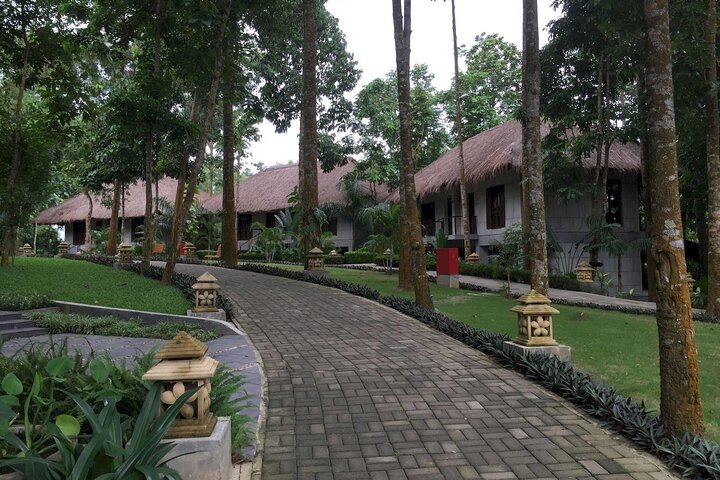 Private Luxury Escape: 2 Day Tea Gardens & Scenic Landscapes