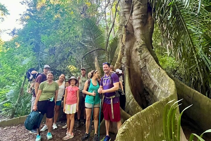 EcoHike to private beach, Jungle Walk to see plants & animals