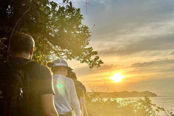 EcoHike to private beach, Jungle Walk to see plants & animals