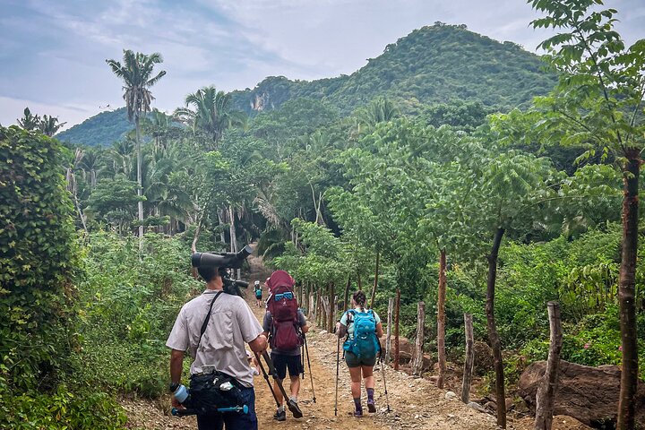 EcoHike to private beach, Jungle Walk to see plants & animals
