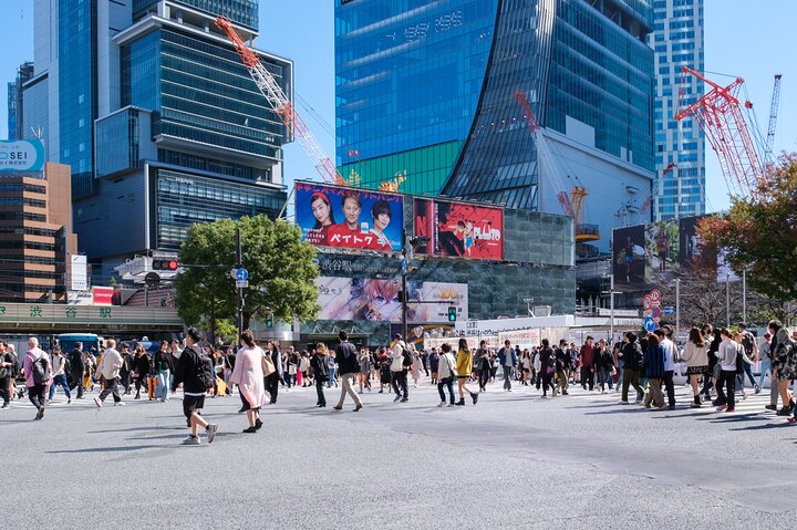 3 to 5 Hours Private Customizable Tour in Tokyo with Local Guide