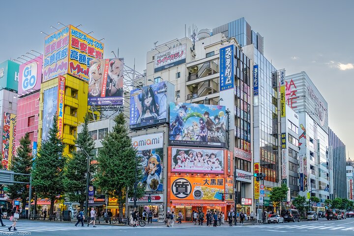3 to 5 Hours Private Customizable Tour in Tokyo with Local Guide
