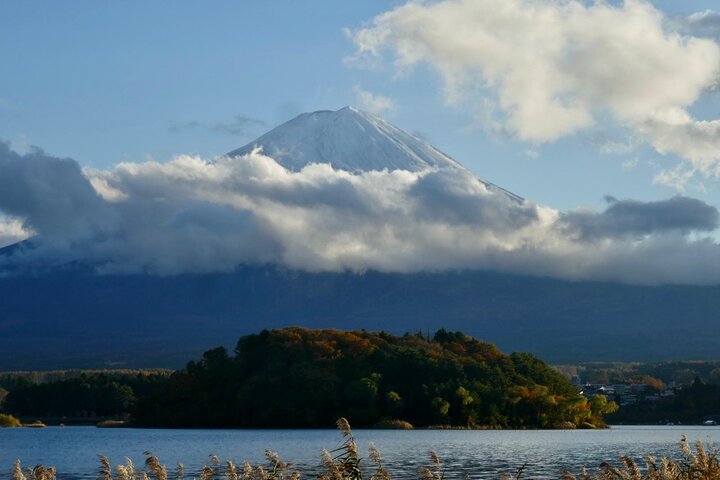 3 to 5 Hours Private Customizable Tour in Tokyo with Local Guide