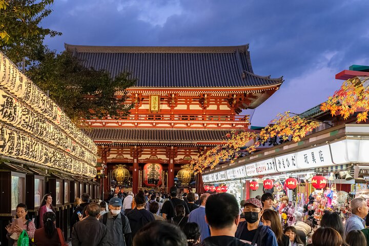 3 to 5 Hours Private Customizable Tour in Tokyo with Local Guide