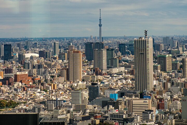 3 to 5 Hours Private Customizable Tour in Tokyo with Local Guide