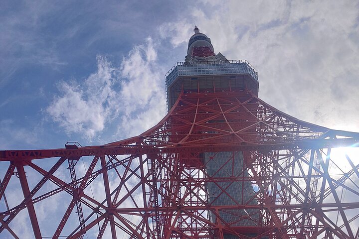 3 to 5 Hours Private Customizable Tour in Tokyo with Local Guide