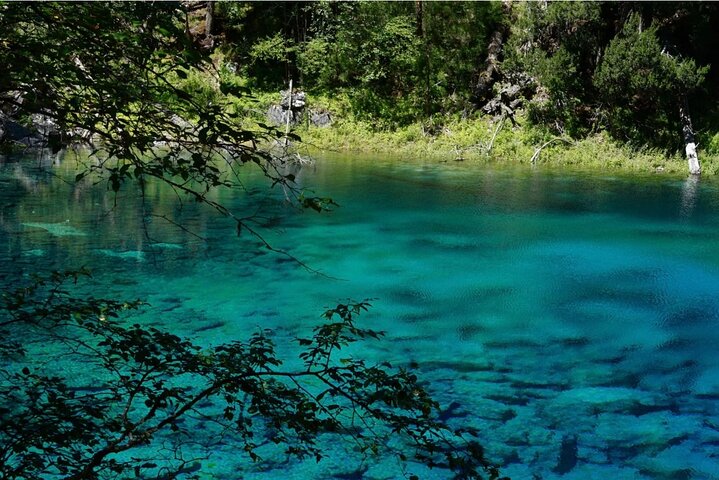 Private VIP Tour:2-Day Jiuzhaigou・Huanglong Highlights Experience