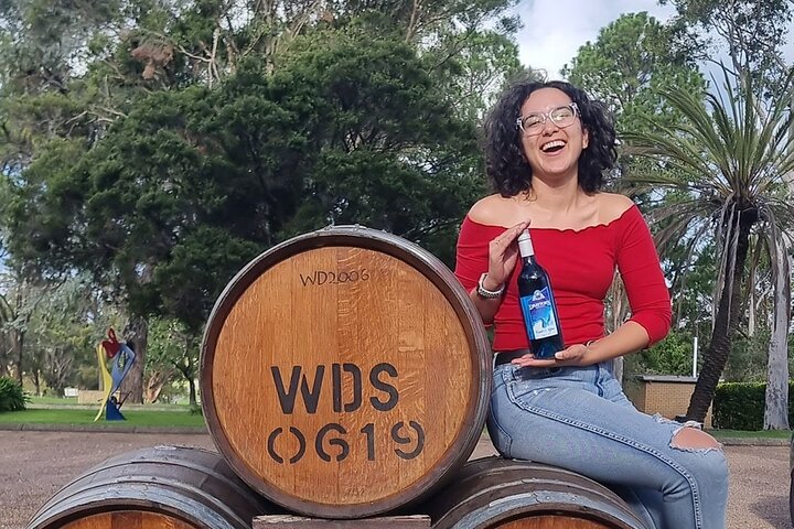 Hunter Valley Mid-Day with Light Lunch Wine Tour