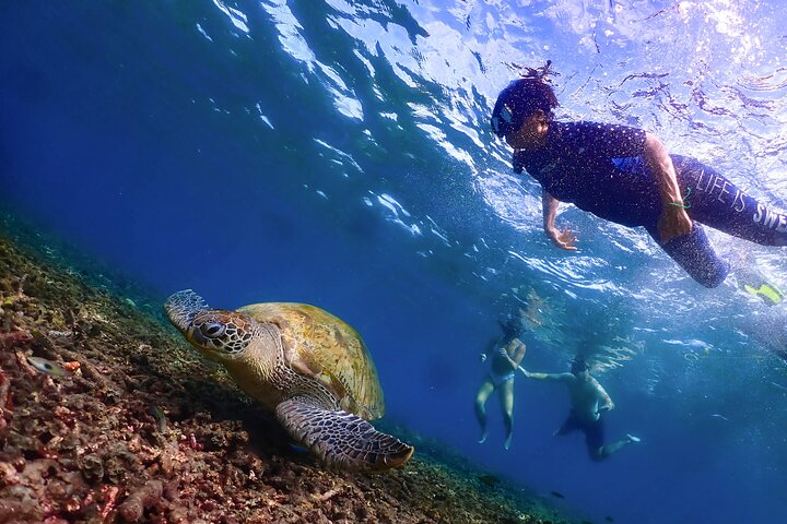 No Rush Morning & Afternoon 5 Stop Snorkeling tour for Koh Tao