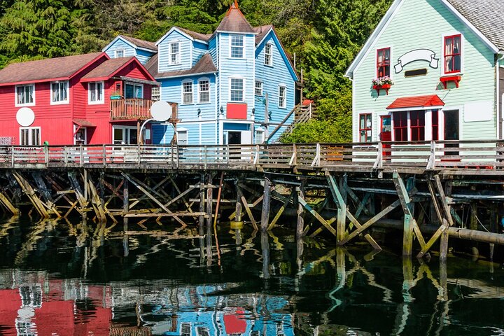 Alaska Wildlife Safari and Sightseeing Tour