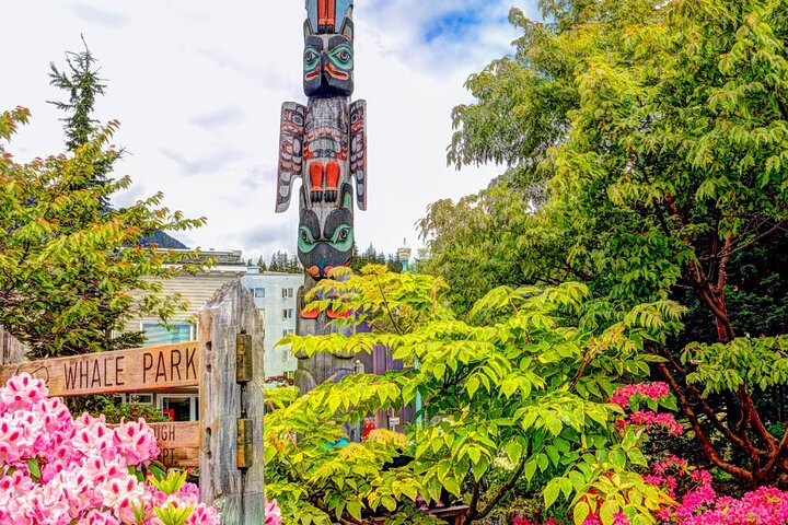 Alaska Wildlife Safari and Sightseeing Tour