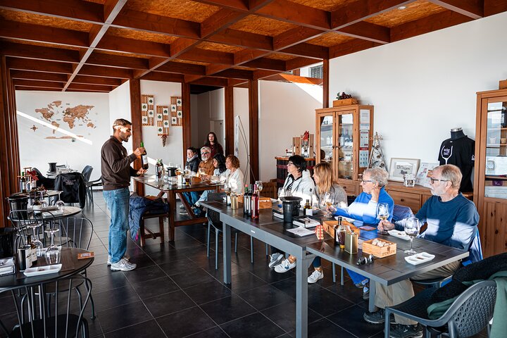 Douro Valley Small Group Tour: 2 Wineries, Lunch & River Cruise