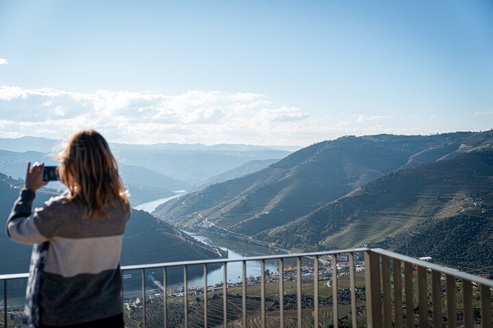 Douro Valley Small Group Tour: 2 Wineries, Lunch & River Cruise