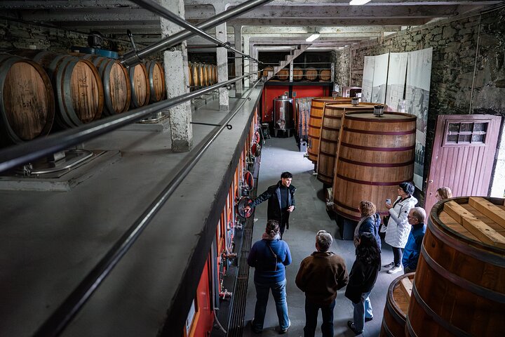 Douro Valley Small Group Tour: 2 Wineries, Lunch & River Cruise