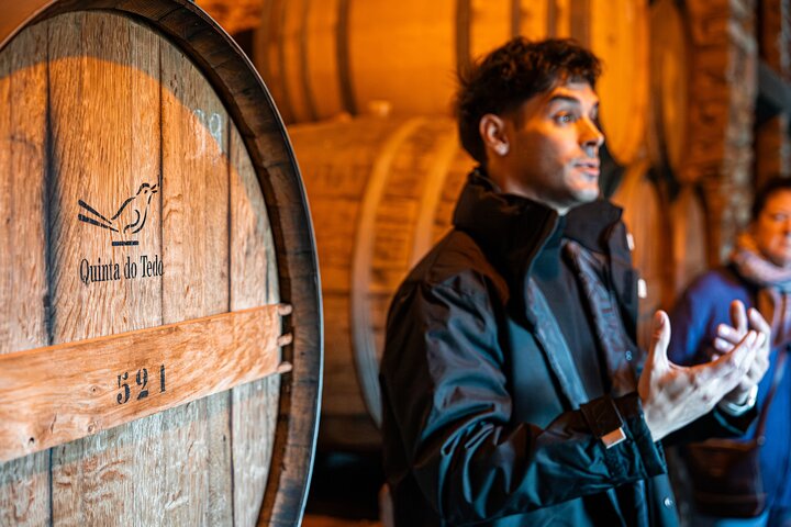 Douro Valley Small Group Tour: 2 Wineries, Lunch & River Cruise