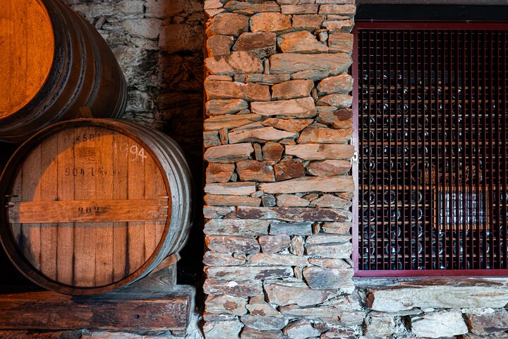 Douro Valley Small Group Tour: 2 Wineries, Lunch & River Cruise