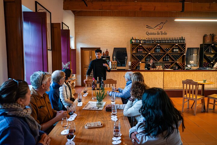 Douro Valley Small Group Tour: 2 Wineries, Lunch & River Cruise