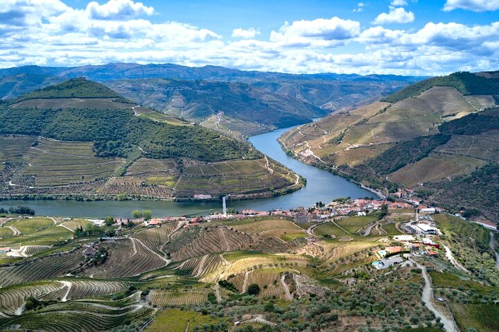 Douro Valley Small Group Tour: 2 Wineries, Lunch & River Cruise
