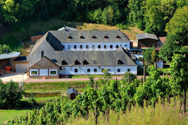 Wine Tour and Cruise Trier Private Tour