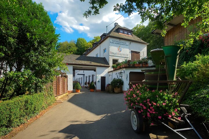 Wine Tour and Cruise Trier Private Tour