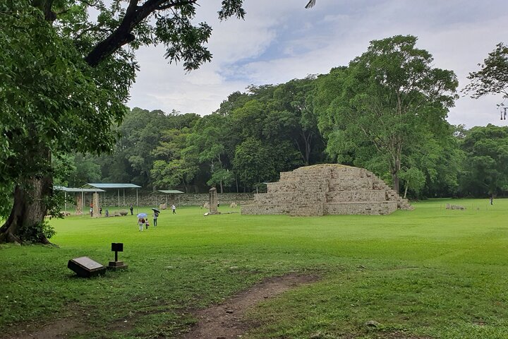 From San Pedro Sula: Mayan Ruins of Copan Day Trip