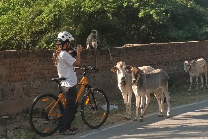 Udaipur Countryside Biking excursion