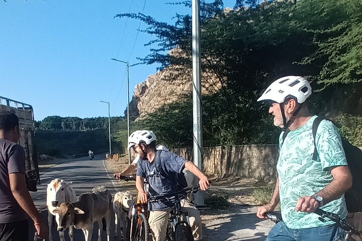Udaipur Countryside Biking excursion